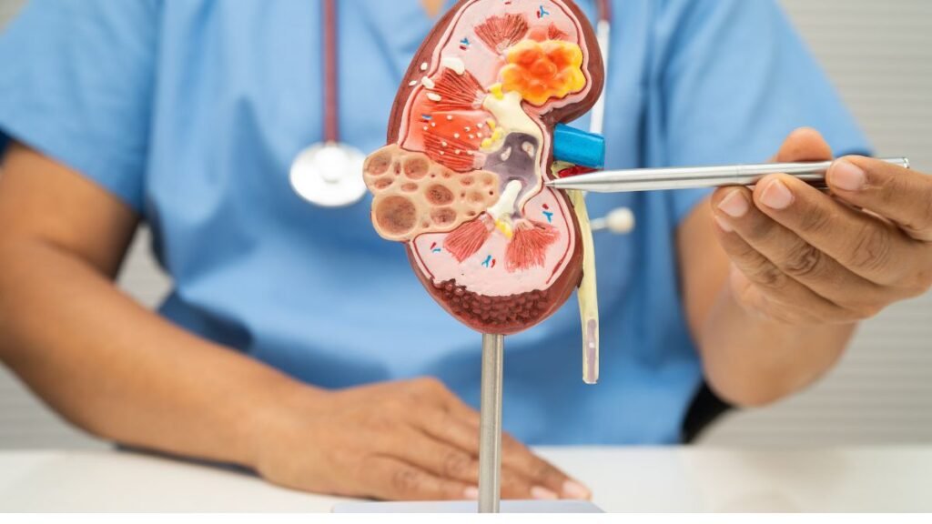 pressão alta pode causar doença renal